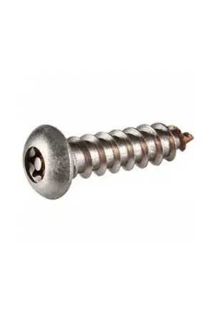 Low Price Tamper-Pruf Stainless Steel Security Sheet Screw With Button Torx Head, 100 Per Pack
