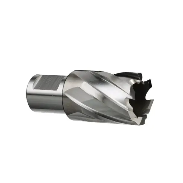 13/16" X 2" Annular Cutter 3/4" Weldon Shank HSS DWC5-530-224 Time-Limited