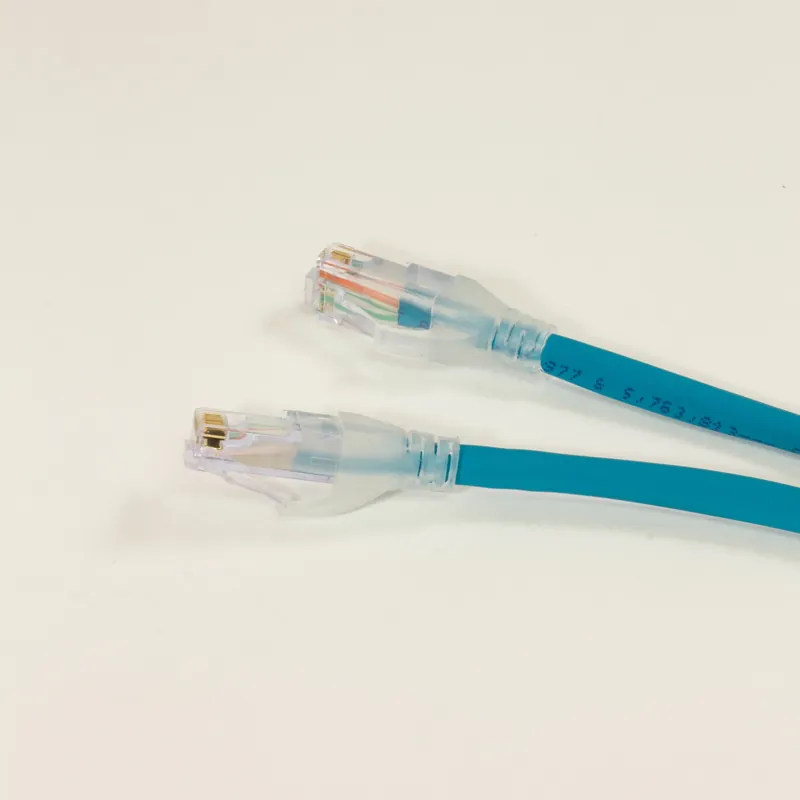 OBSOLETE - Alpha Connect Ethernet Cordset - RJ45 Male to RJ45 Male - 24AWG 2 Poles - QR04QR117 - Teal - 20M (65.6ft) Reduced Price