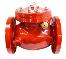 Midland Metal 962003 Swing Check Valve, 3 in Nominal, Flanged, Ductile Iron Body, Import Time-Limited