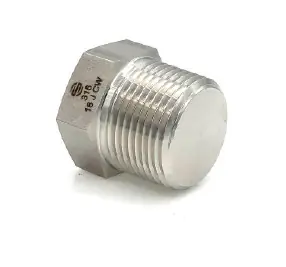 Best Seller Stainless Adapters SS5406-P-02 Hex Pipe Plug, 1/8 in MPT, Stainless Steel