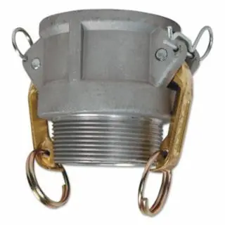 Limited Offer Dixon Valve G200-B-BR 2" Brass Global Female Coupler X