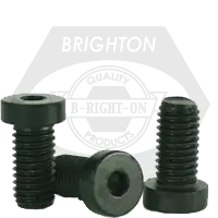 M8-1.25 x 55 mm Low Head Socket Cap Screws, Metric Class 10.9, Thermal Black Oxide, Partial Thread, Coarse (UNC), DIN 7984, Qty 100 Deal