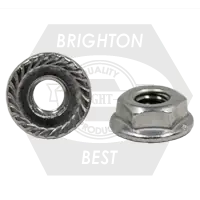 Grab Now 1/4"-20 Hex Flange Nuts, Serrated, 18-8 Stainless Steel, Qty 100