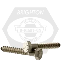 5/16"-9 x 3" Hex Lag Screws, 316 Stainless Steel, Qty 100 Free Returns
